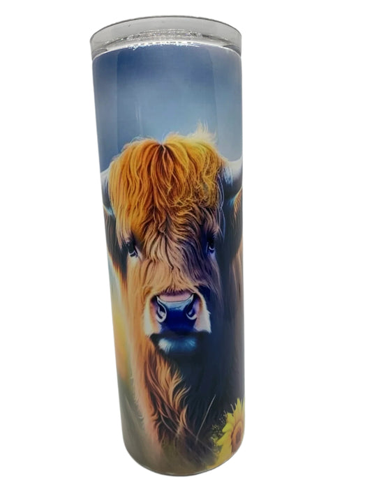 Highland Cow